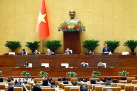 Phó Chủ tịch Quốc hội Lê Minh Hoan phát biểu. (Ảnh: Doãn Tấn/TTXVN)