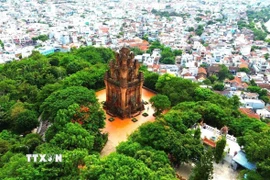 Tháp Nhạn. (Ảnh: TTXVN phát)