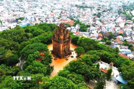 Tháp Nhạn. (Ảnh: TTXVN phát)