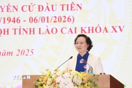 Phó Thủ tướng Phạm Thị Thanh Trà phát biểu tại buổi gặp mặt. (Ảnh: Đinh Thùy/TTXVN)