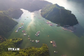 Không chỉ mang ý nghĩa to lớn về kinh tế-năng lượng, hồ Hòa Bình ngày nay đang dần khẳng định vị thế là điểm đến du lịch sinh thái, nghỉ dưỡng và trải nghiệm văn hóa hấp dẫn bậc nhất vùng trung du và miền núi phía Bắc. (Ảnh: Trọng Đạt/TTXVN)