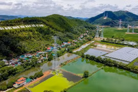Tháng 9/2024, đường dây truyền tải điện siêu cao áp 500KV mạch 3 Quảng Trạch-Phố Nối hoàn thành, giúp đảm bảo cung cấp điện ổn định cho khu vực phía Bắc, góp phần thúc đẩy phát triển kinh tế vùng. (Ảnh: Huy Hùng/TTXVN)