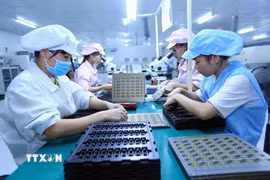 Phụ nữ ngày càng tham gia vào nhiều lĩnh vực sản xuất và đóng vai trò quan trọng. (Ảnh: TTXVN)