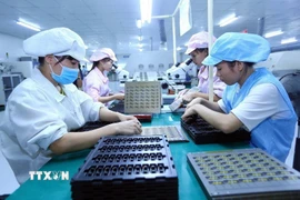 Phụ nữ ngày càng tham gia vào nhiều lĩnh vực sản xuất và đóng vai trò quan trọng. (Ảnh: TTXVN)