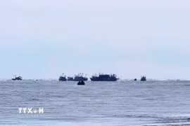 Nhận được tin báo, Ủy ban Nhân dân phường Ngọc Sơn đã nhanh chóng huy động lực lượng dân quân, công an, lực lượng phòng chống thiên tai địa phương phối hợp cùng các chủ tàu và ngư dân trong khu vực tiếp cận hiện trường triển khai công tác cứu hộ. (Ảnh: TTXVN phát)
