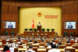 Bộ trưởng Bộ Công an Lương Tam Quang trình bày Tờ trình về 4 dự án: Luật sửa đổi, bổ sung một số điều của Luật Công nghiệp quốc phòng, an ninh và động viên công nghiệp; Luật An ninh mạng; Luật Bảo vệ bí mật nhà nước (sửa đổi); Luật sửa đổi, bổ sung một số điều của 10 luật có liên quan đến an ninh, trật tự. (Ảnh: Doãn Tấn/TTXVN)