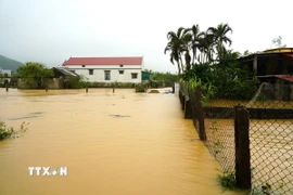 Thôn Tiền Phong, xã Bắc Trạch bị ngập sâu trong nước. (Ảnh: Thanh Thủy/TTXVN)