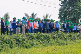 Đại biểu Liên minh Nghị viện Pháp ngữ tham quan mô hình trồng lúa ở Hợp tác xã Nông trại xanh - New Green Farm, quận Thốt Nốt. (Ảnh: Thanh Liêm/TTXVN)
