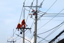 Nâng cấp, sửa chữa lưới điện. (Ảnh: Lê Huy Hải/TTXVN)