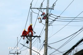 Nâng cấp, sửa chữa lưới điện ở An Giang. (Ảnh: Lê Huy Hải/TTXVN)