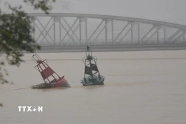 Nước sông hương dâng cao chảy xiết. (Ảnh: Văn Dũng/TTXVN)