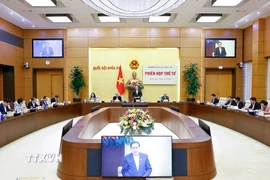 Chủ tịch Quốc hội Trần Thanh Mẫn, Chủ tịch Hội đồng Bầu cử Quốc gia phát biểu. (Ảnh: Doãn Tấn/TTXVN)