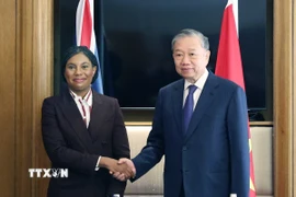 Tổng Bí thư Tô Lâm tiếp Nghị sỹ Kemi Badenoch, Chủ tịch Đảng Bảo thủ của Anh. (Ảnh: Thống Nhất/TTXVN)