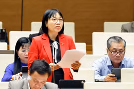 Đại biểu Quốc hội thành phố Hải Phòng Nguyễn Thị Việt Nga phát biểu. (Ảnh: Doãn Tấn/TTXVN)