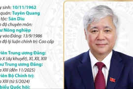 Ủy viên Bộ Chính trị, Phó Bí thư thường trực Đảng ủy Quốc hội Đỗ Văn Chiến