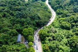 Một góc Vườn Quốc gia Cúc Phương, nơi nam du khách mất tích nhiều ngày qua. (Nguồn: Vườn Quốc gia Cúc Phương)