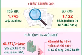 Thanh tra phát hiện vi phạm về kinh tế hơn 44.600 tỷ đồng trong 6 tháng