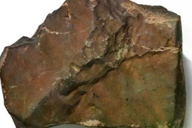 Thiên thạch có nguồn gốc từ Sao Hỏa được bán đấu giá tại New York. (Nguồn: Sputnik)