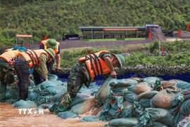 Diễn tập ứng phó sự cố đê điều, hồ đập và tìm kiếm cứu nạn, cứu hộ. (Ảnh: Hoàng Hùng/TTXVN)