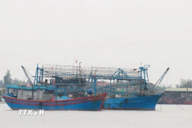 Tàu cá hoạt động trên biển. (Ảnh minh họa: TTXVN phát)