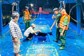 Lực lượng chức năng kiểm tra, phát hiện một tàu cá vận chuyển dầu trái phép trên biển. (Ảnh minh họa. Nguồn: TTXVN)
