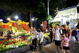 Người dân và khách du lịch tham quan, check-in Hội hoa Xuân Thành phố Hồ Chí Minh lần thứ 46. (Ảnh: Hồng Đạt/TTXVN)