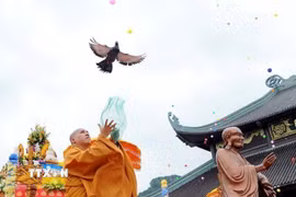 Ảnh minh họa. (Ảnh: Dương Giang/TTXVN)