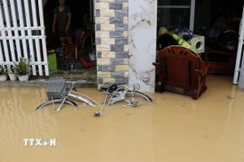 Nước lũ gây ngập khu dân cư ở xã Diên Khánh (Khánh Hòa). (Ảnh: Nguyễn Thành/TTXVN)