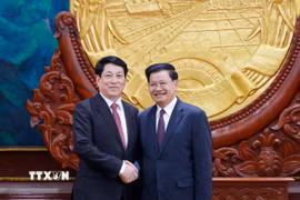 Chủ tịch nước Lương Cường hội đàm với Tổng Bí thư, Chủ tịch nước Lào Thongloun Sisoulith. (Ảnh: Lâm Khánh/TTXVN)