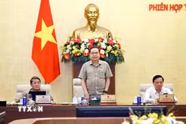 Chủ tịch Quốc hội Trần Thanh Mẫn phát biểu chỉ đạo. (Ảnh: Doãn Tấn/TTXVN)