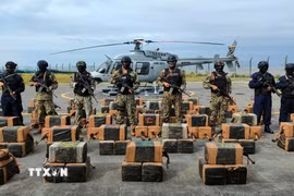 Số ma túy thu giữ. (Ảnh minh họa: AFP/TTXVN)