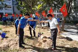 Lực lượng thanh niên thành phố Đà Nẵng trồng cây xanh. (Ảnh: Khoa Chương/TTXVN)