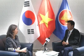 Đại sứ Việt Nam tại Hàn Quốc Vũ Hồ trả lời phỏng vấn của phóng viên TTXVN tại Hàn Quốc. (Ảnh: Trường Giang/TTXVN)
