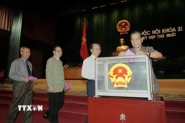 Quốc hội Việt Nam thể hiện vai trò là cơ quan đại biểu cao nhất của nhân dân. (Ảnh: TTXVN)