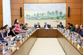 Đoàn đại biểu Quốc hội tỉnh Điện Biên và thành phố Cần Thơ thảo luận ở tổ. (Ảnh: Doãn Tấn/TTXVN)