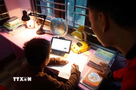 Hành vi cưỡng ép thành viên gia đình học tập quá sức có thể bị phạt tiền từ 5 triệu đồng đến 10 triệu đồng. (Ảnh minh họa. Nguồn: TTXVN)