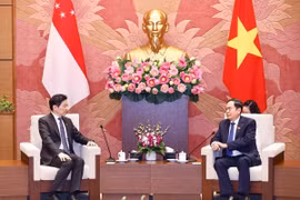 Chủ tịch Quốc hội Trần Thanh Mẫn hội kiến Thủ tướng Singapore Lawrence Wong. (Ảnh: Doãn Tấn/TTXVN)