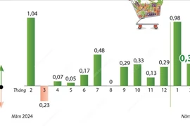 Chỉ số giá tiêu dùng tháng Hai tăng 0,34% so với tháng Một