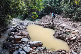 Khe Huổi Lúc bị nắn dòng bởi những hố sâu do khai thác vàng. (Ảnh: Văn Tý/TTXVN)