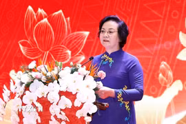 Phó Thủ tướng Chính phủ Phạm Thị Thanh Trà phát biểu. (Ảnh: Doãn Tấn/TTXVN)