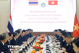 Tổng Bí thư, Chủ tịch nước Tô Lâm hội đàm chính thức với Thủ tướng Thái Lan Anutin Charnvirakul. (Ảnh: Thống Nhất/TTXVN)