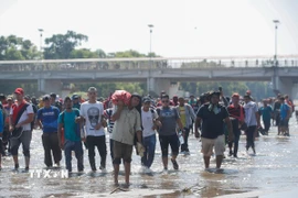 Người di cư Trung Mỹ vượt sông Suchiate từ Guatemala để tới Mexico, trong hành trình đến Mỹ. (Ảnh: THX/TTXVN)