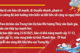 Chỉ đạo của Ban Bí thư về ứng phó với cơn bão số 5 