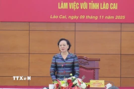 Phó Thủ tướng Chính phủ Phạm Thị Thanh Trà phát biểu chỉ đạo tại buổi làm việc. (Ảnh: Hương Thu/TTXVN)