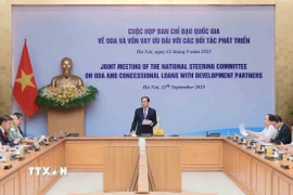 Phó Thủ tướng Bùi Thanh Sơn, Trưởng Ban Chỉ đạo quốc gia về ODA và vốn vay ưu đãi phát biểu. (Ảnh: An Đăng/TTXVN)