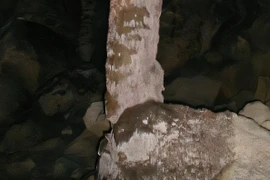 Hình thạch nhũ HS4 được sử dụng để "niên giám lượng mưa." (Nguồn: Đại học Oxford)