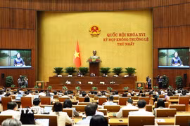 Quang cảnh phiên họp. (Ảnh: Doãn Tấn/TTXVN)