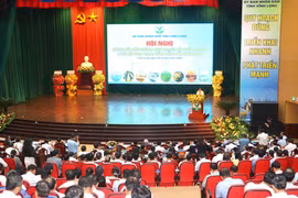 Vĩnh Long điều chỉnh quy hoạch, định hình không gian phát triển mới