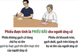 Việc cử tri ghi phiếu bầu cử được thực hiện như thế nào? 