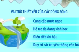 Ngày Quốc tế hành động vì các dòng sông 14/3: Bảo vệ sông ngòi, Bảo vệ con người